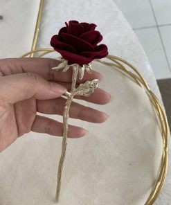 Trâm Hoa Hồng - Không Tua Rua