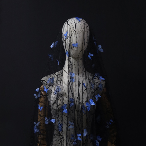 VOAN LƯỚI 1 LỚP ĐÍNH HỒ ĐIỆP, PHỤ KIỆN CƯỚI, PHỤ KIỆN CHỤP HÌNH - Voan Đen Hồ Điệp Xanh 150cm