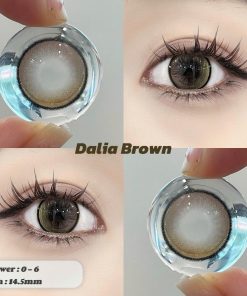 Contact Lens Dreamoon Chính Hãng, Lens Douyin Màu Brown - Dalia