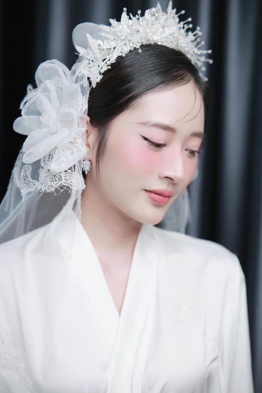 Vương Miện - - Hình ảnh 9