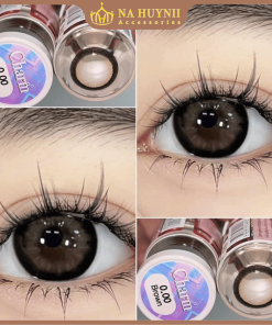 Contact Lens Thái - Charm Brown